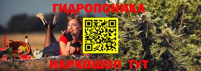 спиды Камышлов