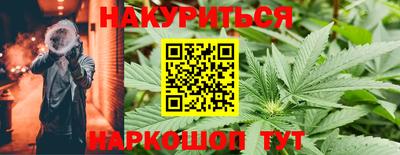 спиды Камышлов